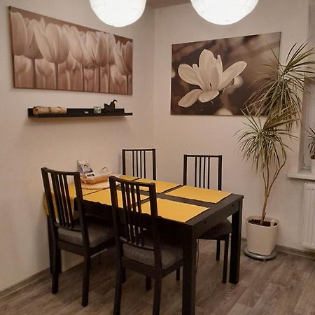 Apartmán Riegerovka Cheb Exteriér fotografie