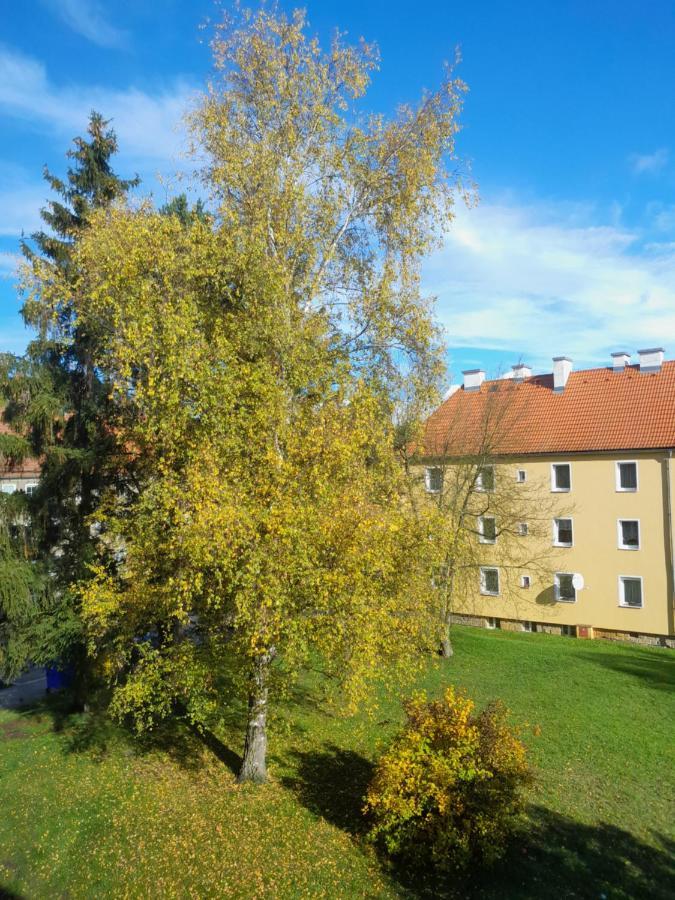 Apartmán Riegerovka Cheb Exteriér fotografie