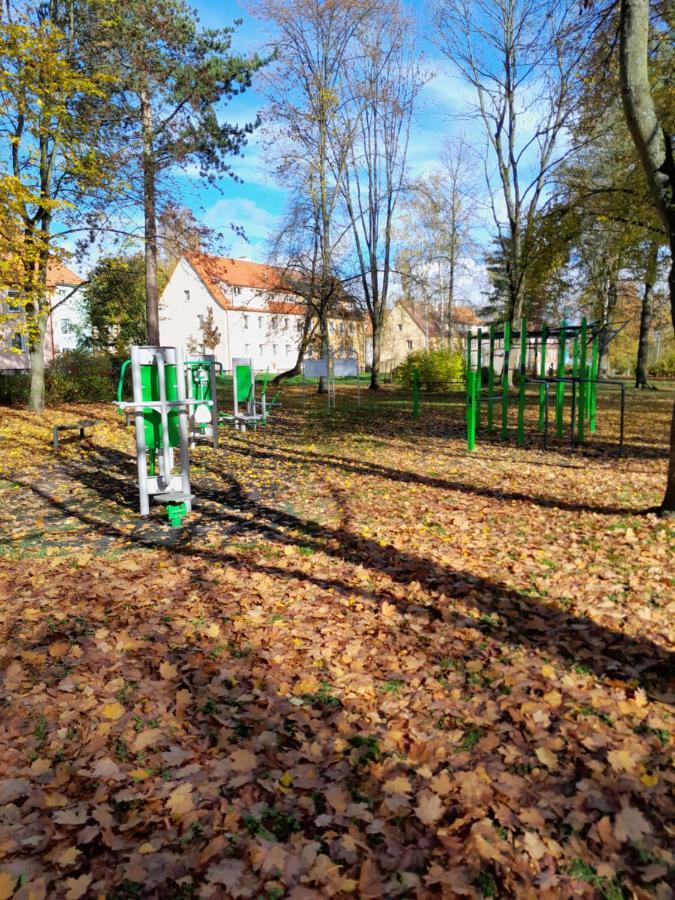 Apartmán Riegerovka Cheb Exteriér fotografie