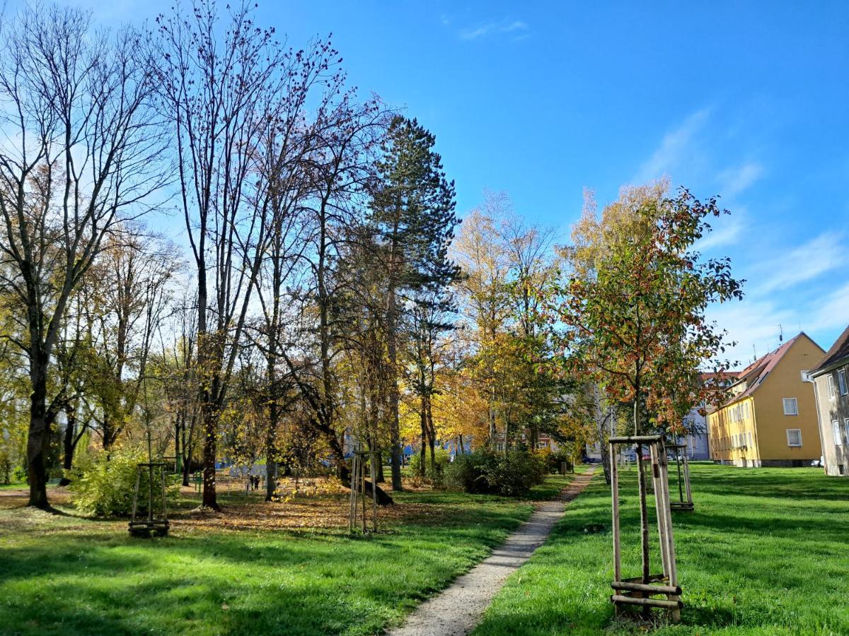 Apartmán Riegerovka Cheb Exteriér fotografie