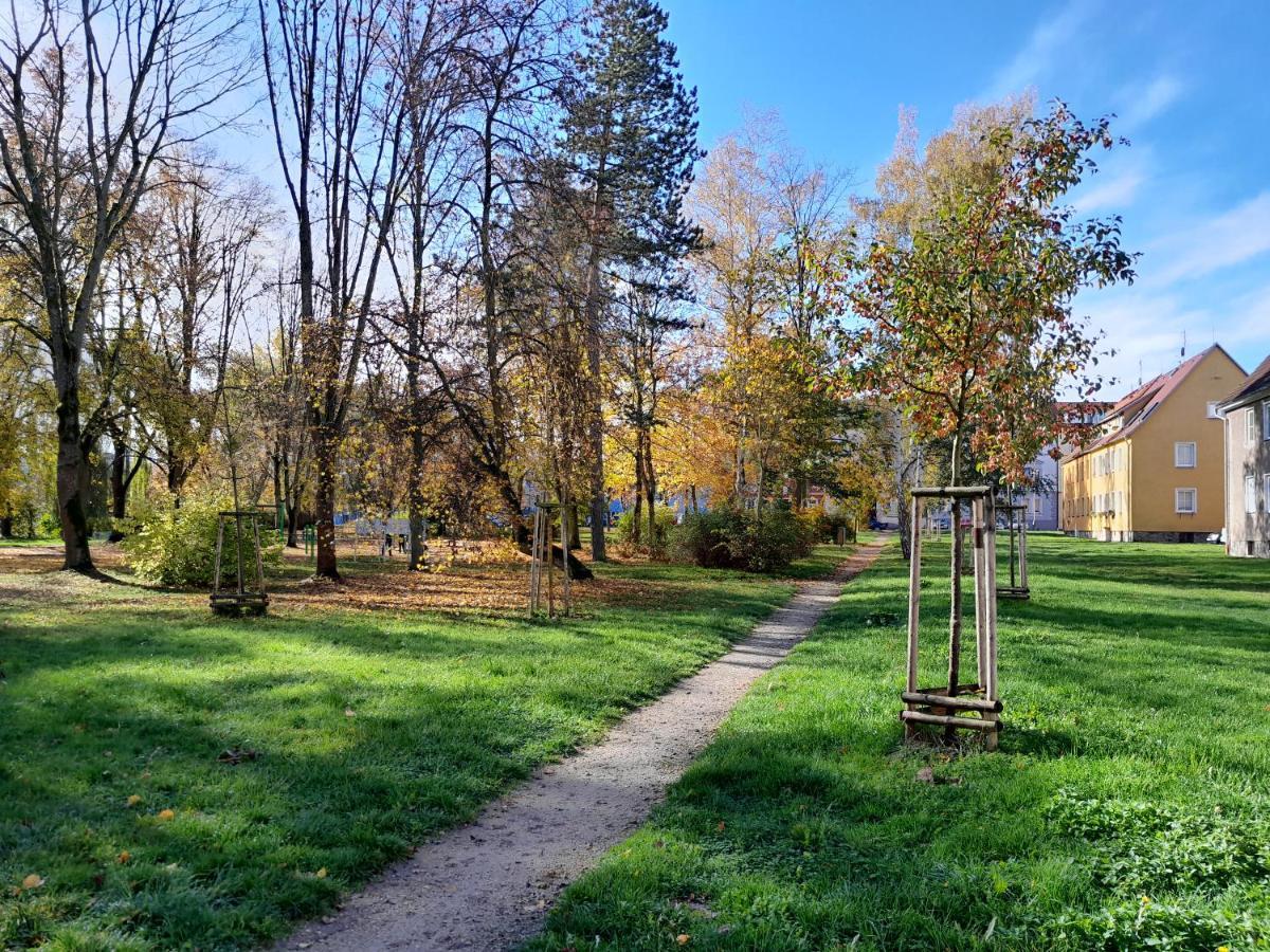 Apartmán Riegerovka Cheb Exteriér fotografie
