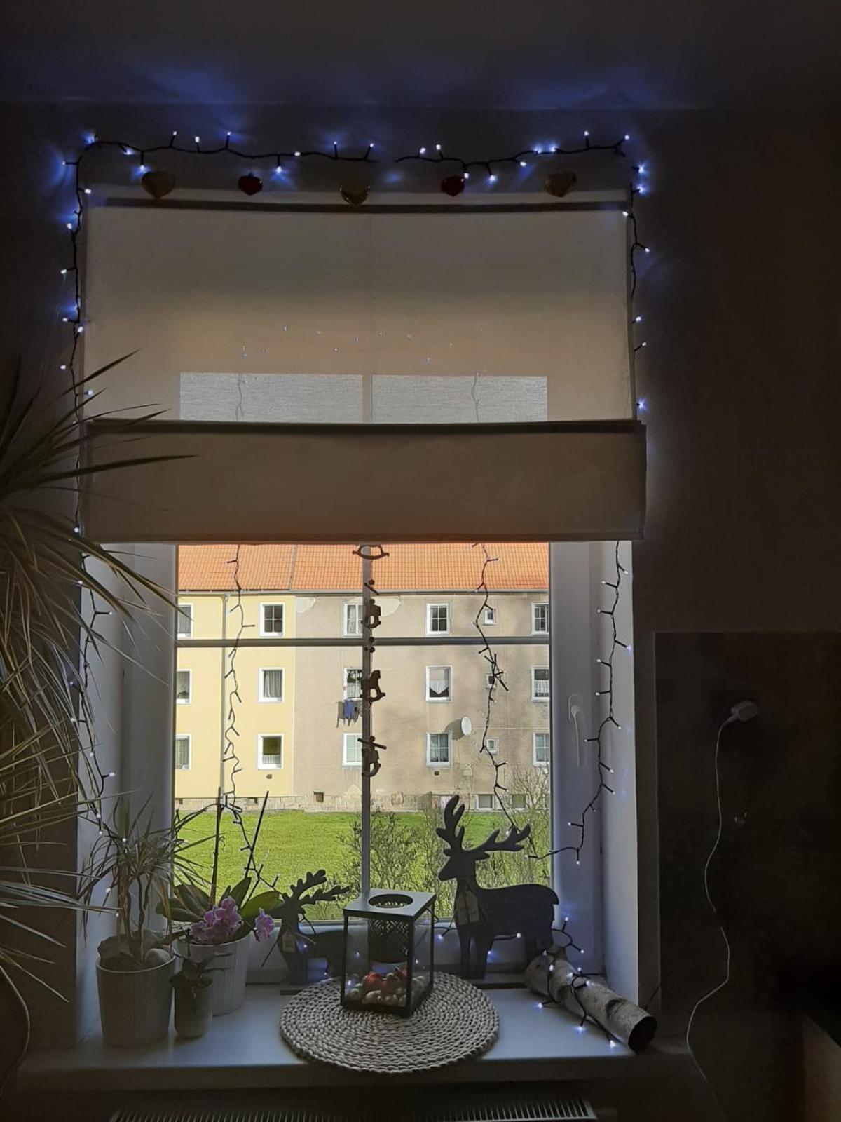 Apartmán Riegerovka Cheb Exteriér fotografie