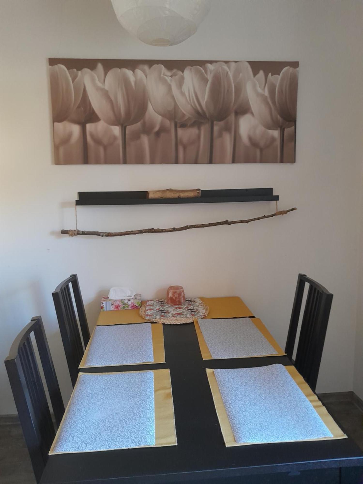 Apartmán Riegerovka Cheb Exteriér fotografie