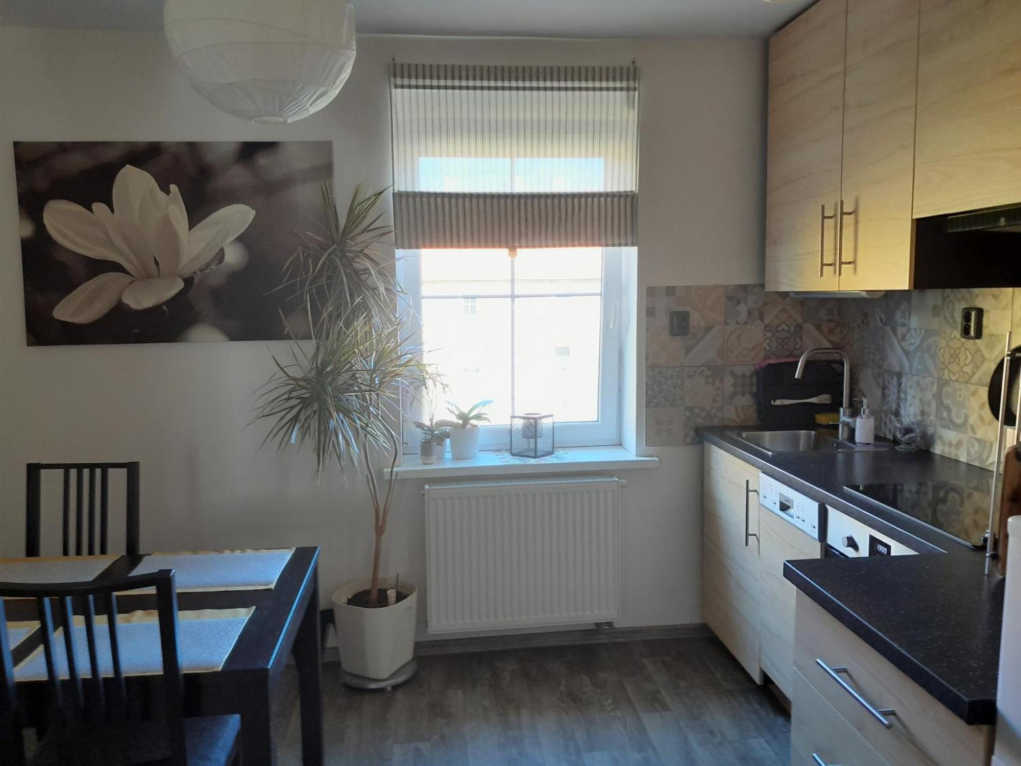 Apartmán Riegerovka Cheb Exteriér fotografie
