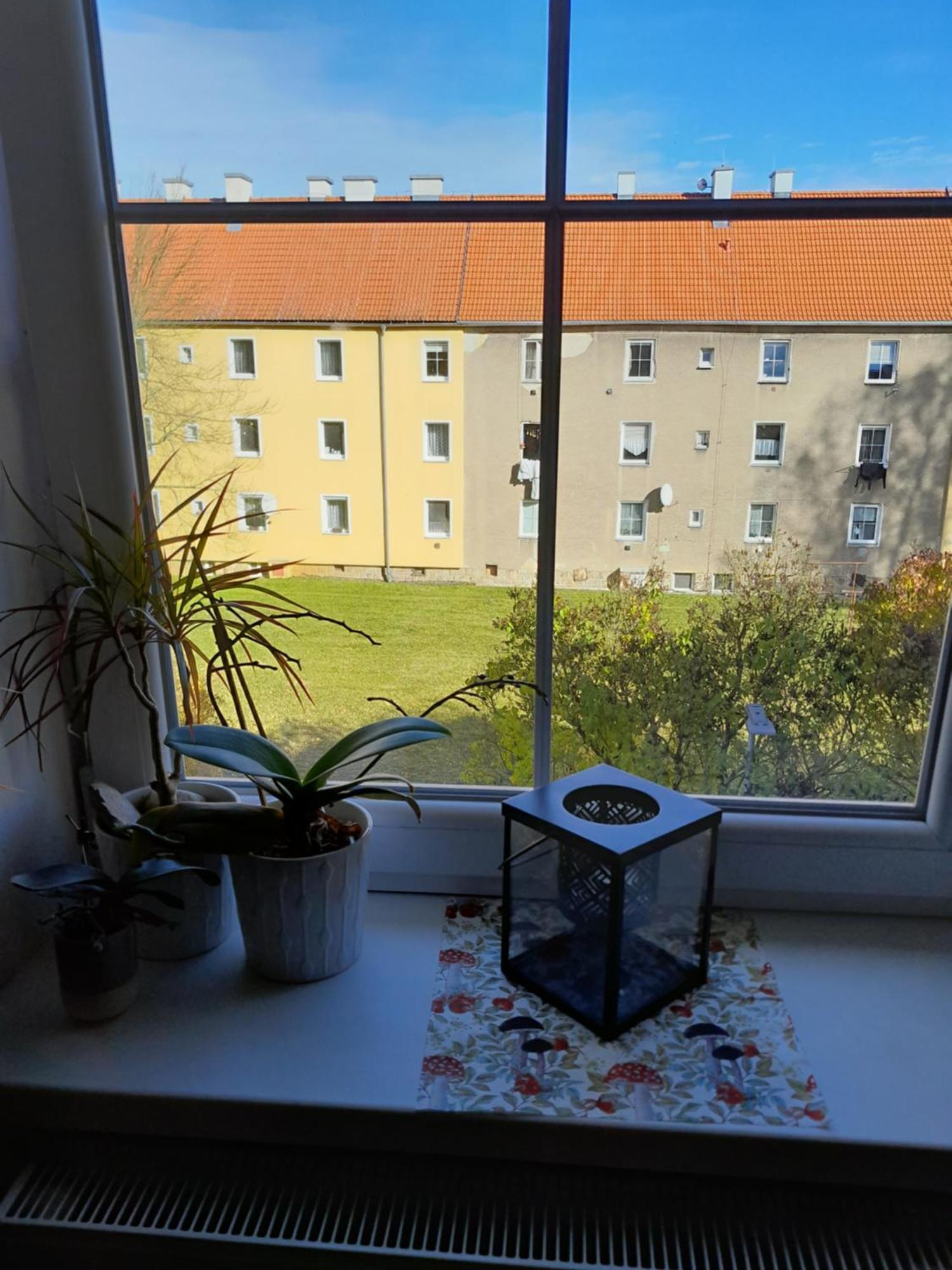 Apartmán Riegerovka Cheb Exteriér fotografie